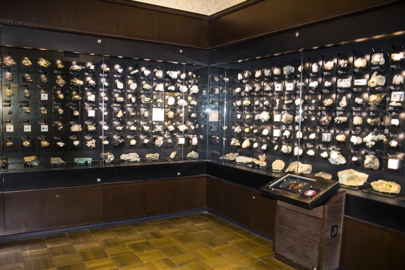 🏛️ 포사 마그나 박물관(フォッサマグナミュージアム) 이미지 7